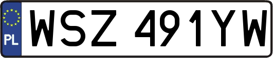 WSZ491YW