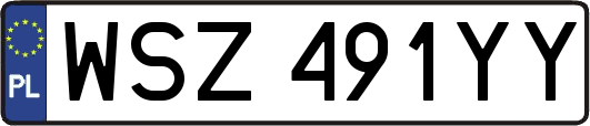 WSZ491YY