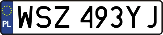 WSZ493YJ