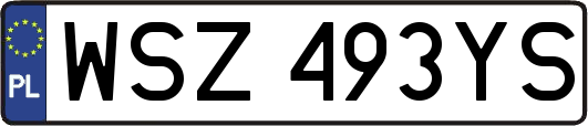 WSZ493YS
