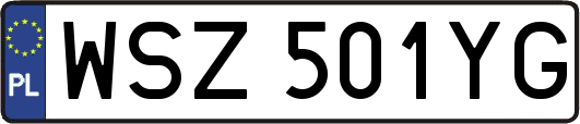 WSZ501YG