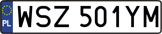 WSZ501YM