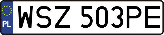 WSZ503PE