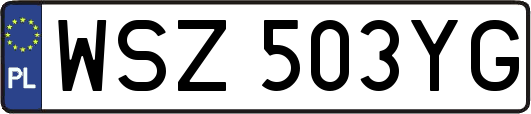 WSZ503YG