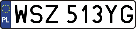 WSZ513YG