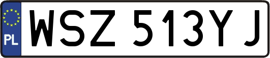 WSZ513YJ