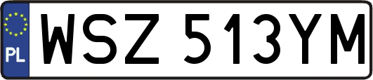 WSZ513YM