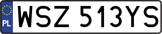 WSZ513YS