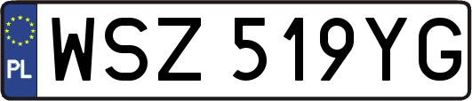 WSZ519YG
