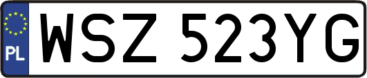 WSZ523YG