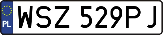 WSZ529PJ