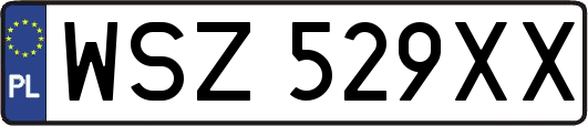 WSZ529XX