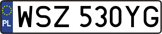 WSZ530YG