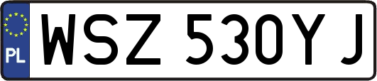 WSZ530YJ