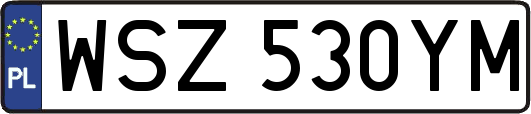 WSZ530YM