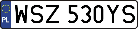 WSZ530YS