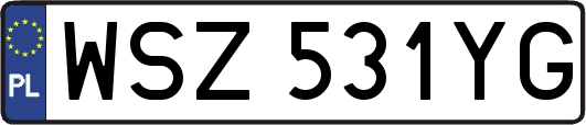 WSZ531YG