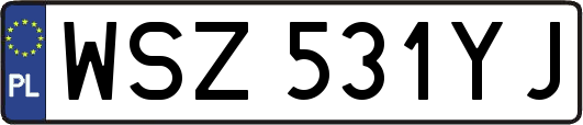 WSZ531YJ