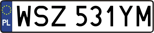 WSZ531YM