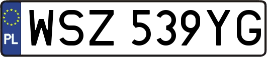 WSZ539YG