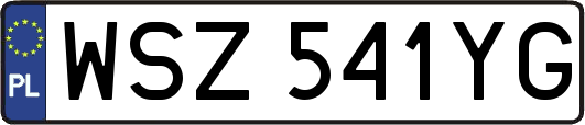 WSZ541YG