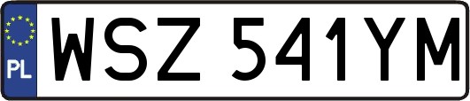 WSZ541YM