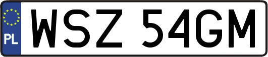 WSZ54GM