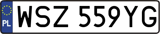 WSZ559YG