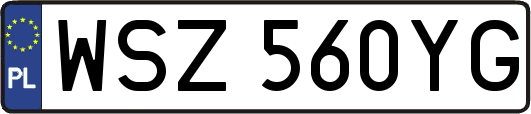 WSZ560YG