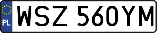 WSZ560YM