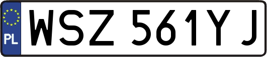 WSZ561YJ