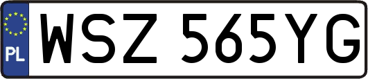 WSZ565YG
