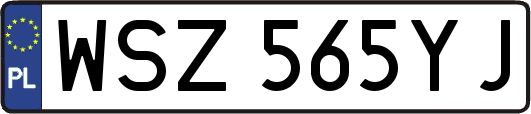 WSZ565YJ