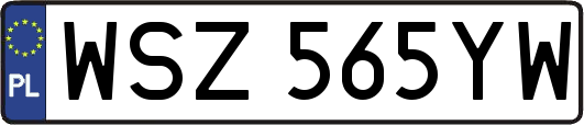 WSZ565YW