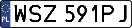 WSZ591PJ
