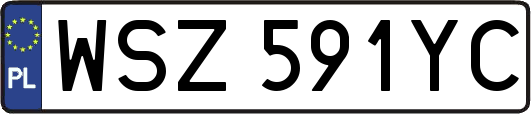 WSZ591YC