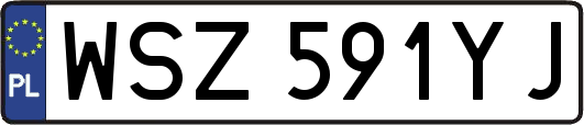 WSZ591YJ