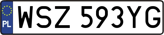 WSZ593YG