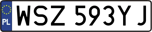 WSZ593YJ
