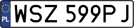 WSZ599PJ