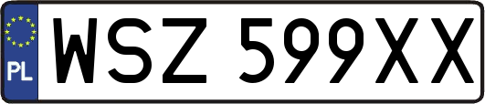WSZ599XX