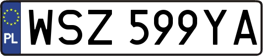 WSZ599YA