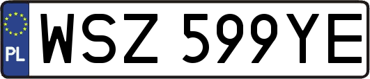 WSZ599YE