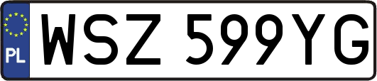 WSZ599YG