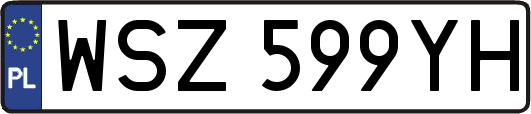 WSZ599YH