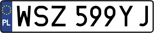WSZ599YJ
