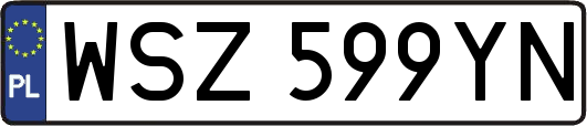 WSZ599YN