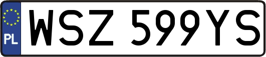 WSZ599YS