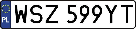 WSZ599YT