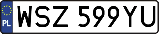 WSZ599YU